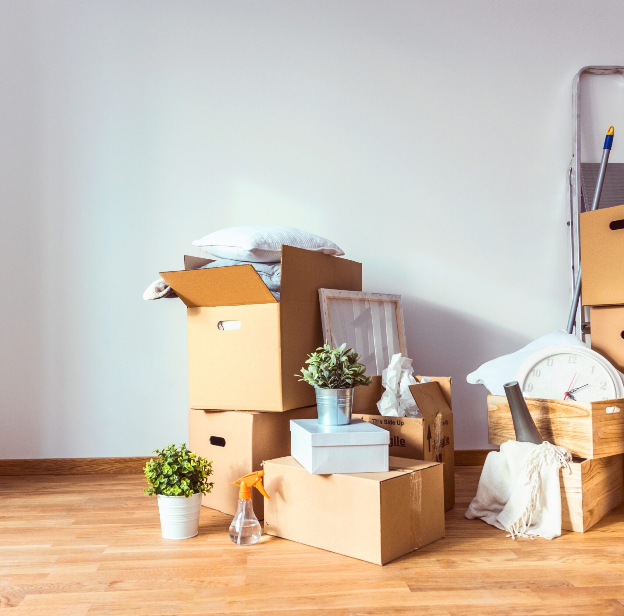 move-in and move-out cleaning services commercial cleaning services charlotte nc